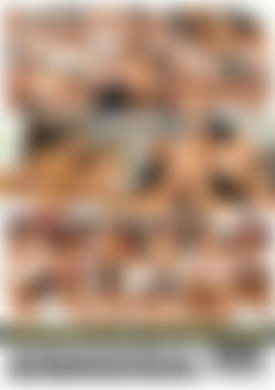 Darkside Orgies back cover