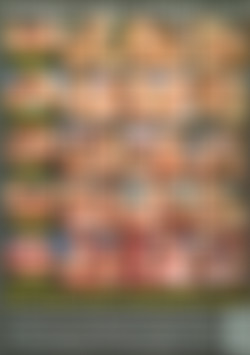 Lesbian Sex Parties back cover