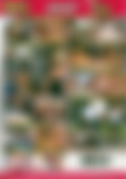 My Sexy Life Vol. 1 back cover