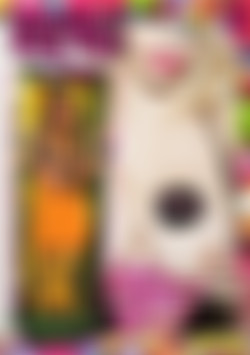 Mariska's Sexy Toys back cover