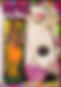 Mariska's Sexy Toys front cover