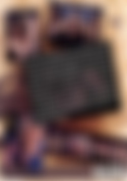 Alley Cats back cover