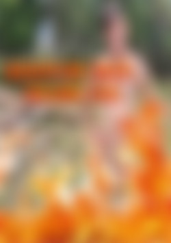 Discipline Tales Vol 345 front cover