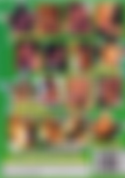 Black Supa-Stars of Porn #10 back cover