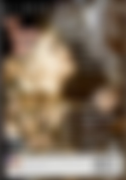 Phantom Lover, The back cover