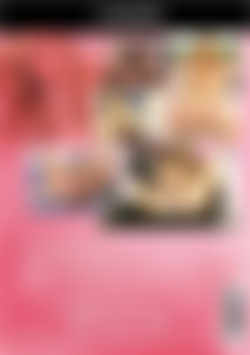 My Naughty Girlfriends Vol. 2 back cover