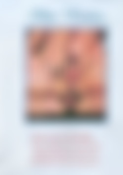 Peepshow Loops 202 (European): 1970's (Color) front cover