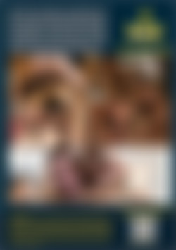 Young Bi and Hung back cover