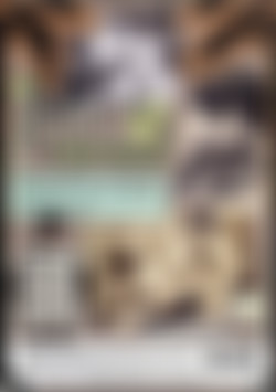 Reel Old-Timers Vol. 11 back cover