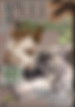 Reel Old-Timers Vol. 11 front cover