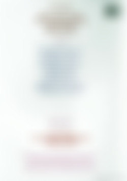 Softcore Nudes 600: 1960's back cover