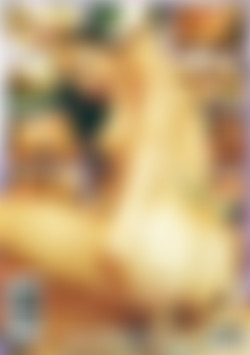 Super Soakers 2 back cover