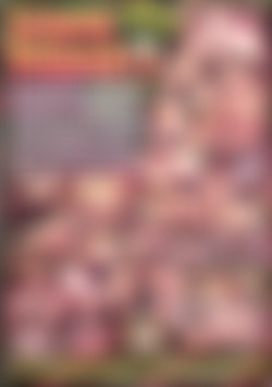 European Debutante Number 1 back cover