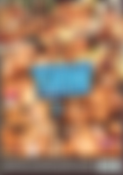 Chocolate Flavored Lesbians 3 back cover
