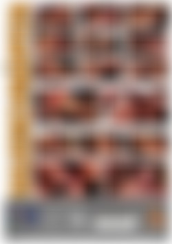 Saugschnapfen back cover