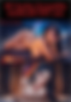 3D busty brunette medieval POV sex front cover