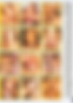 Pornstars Vol. 17: Three The Hard Way back cover