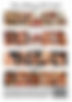 Anal Loving Whores back cover