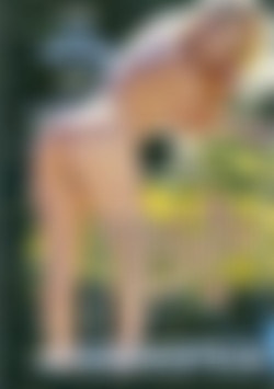 Wild & Blonde 4 front cover