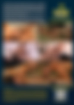 Turning Bi For Her back cover