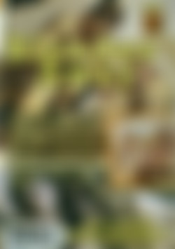 Blondes Away back cover