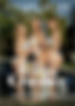 Return of the Wedding Crasher, The front cover