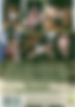 Wild Bill's Big Titters Of The Wild West back cover