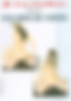 JK-03: You Have No Choice front cover