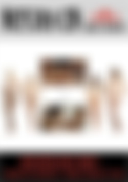 Defeated Sex Fight - Tornado Tag Team Match - Blonde vs Brunettes Final front cover