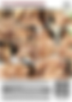 Sexual Desires Of Gabriela Lopez, The back cover