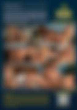 Delila Digs Bi Guys back cover