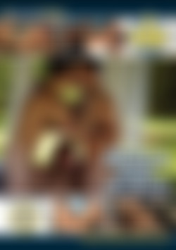 Delila Digs Bi Guys front cover