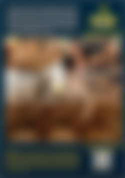 Bi Guys Give and Take back cover