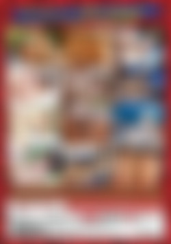 The Best Of Johnny Rebel #2 back cover