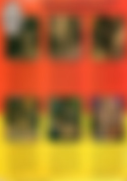 Soul Sex 17 - Black Tigress back cover