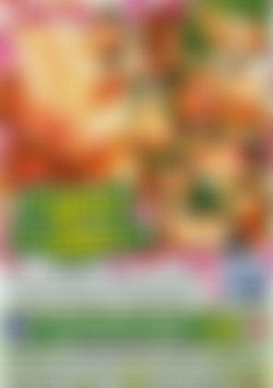 Pigtail Puppets back cover