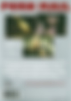 Porn Mail back cover