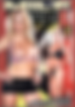 MILF Fever 3 front cover