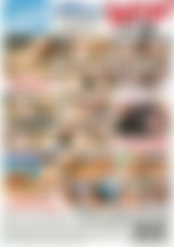 Great American Slut Off Vol. 5, The back cover