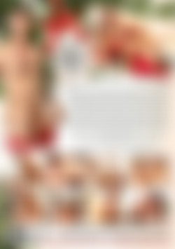 Bred & Breakfast: The Push It Inn back cover