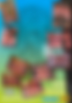 Motel...Che Passione back cover