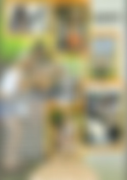 Public Flashers back cover