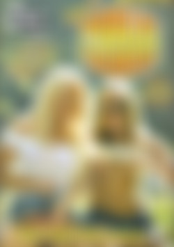 Public Flashers front cover