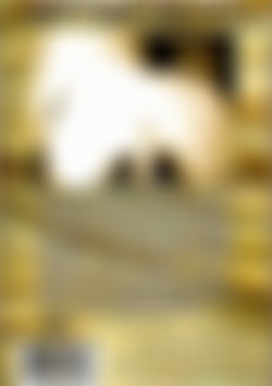 Mondo Blondo back cover