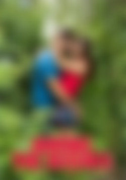 Among The Bushes back cover