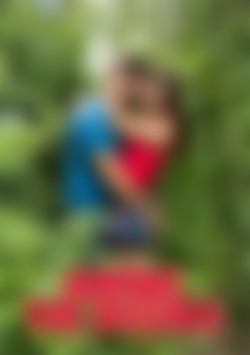 Among The Bushes front cover