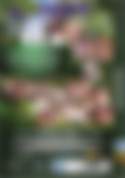 The Only Way Is Swinging back cover