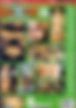 Lesbianation 12 back cover