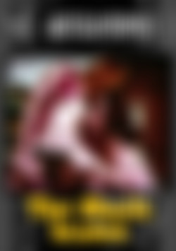 The Musik Lesson front cover