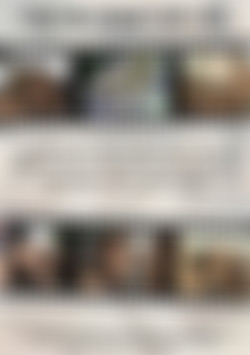 Strap On Lesbian Sluts Vol. 3 back cover